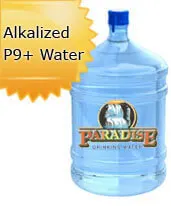 Ionized E2 5 Gallon Water Bottle